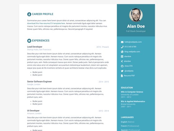 Online CV screenshot