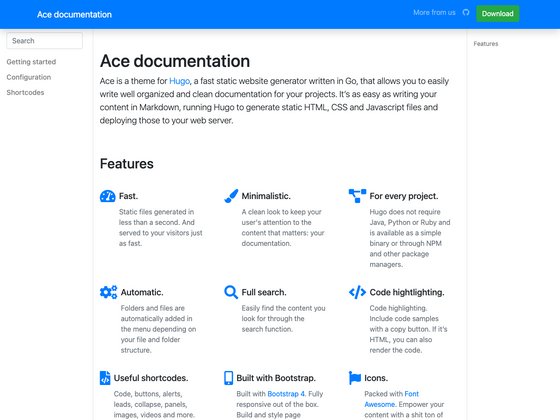 Ace documentation screenshot