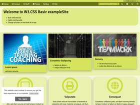 W3.CSS Basic screenshot
